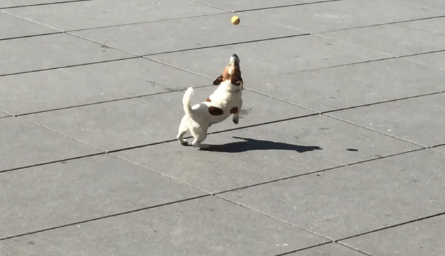 Rating the Greatest Christmas&nbsp;Songs