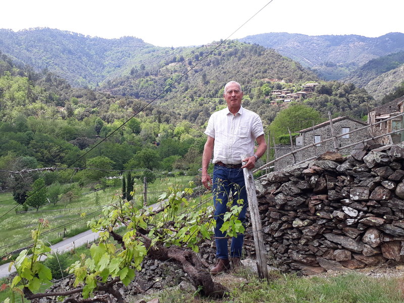 Garnier in the vineyard.