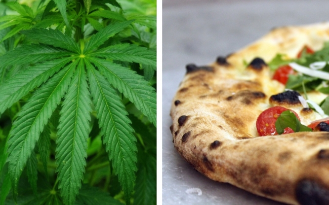 cannibus pizza