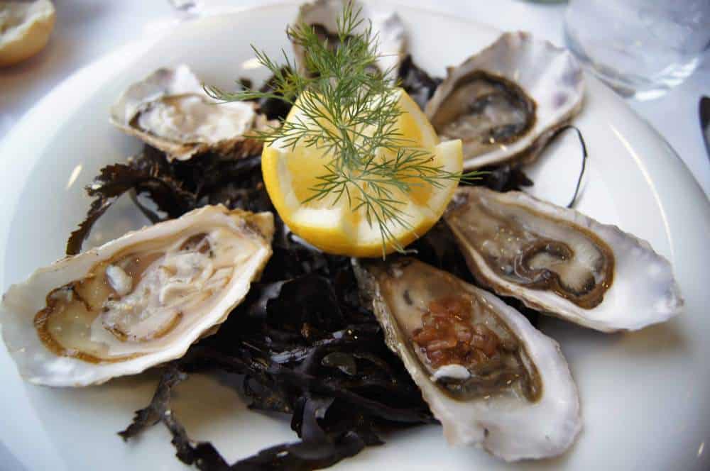 oysters