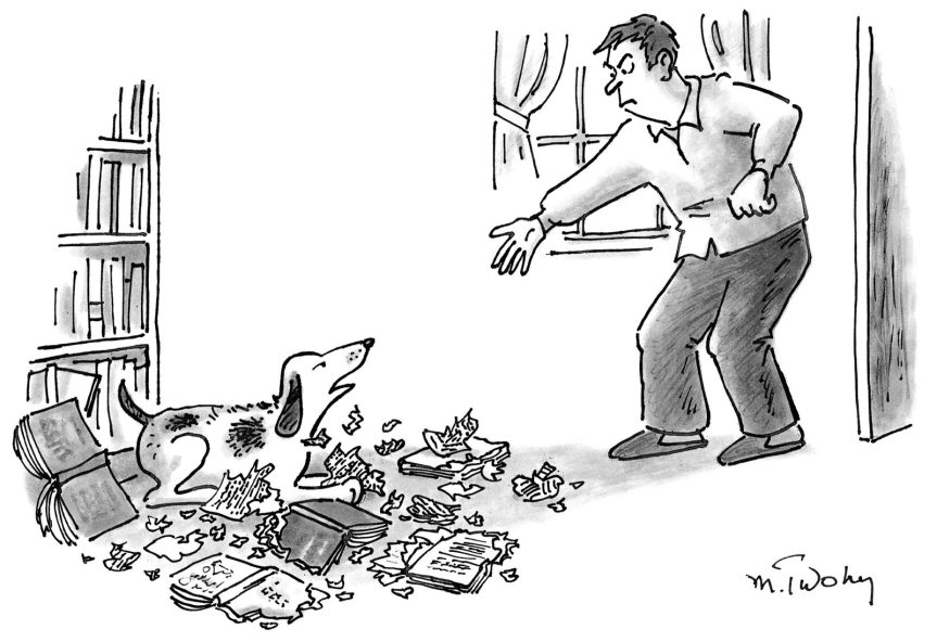 Dog calms down angry owner after tearing apart his books.