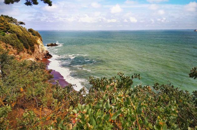 Loire Atlantic coast